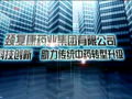 頸復(fù)康藥業(yè)集團形象展示 (196播放)